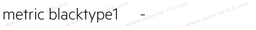 metric blacktype1西方字体转换